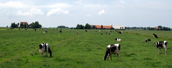 woudsend rijksmomumenten en monumenten